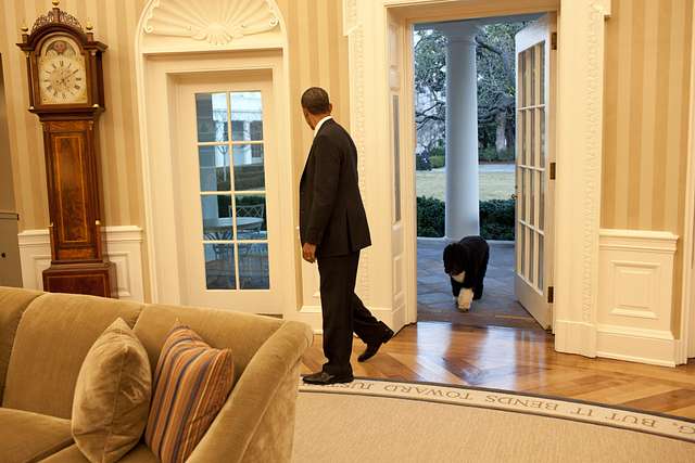 278 Barack obama at the white house in 2012 Images: PICRYL