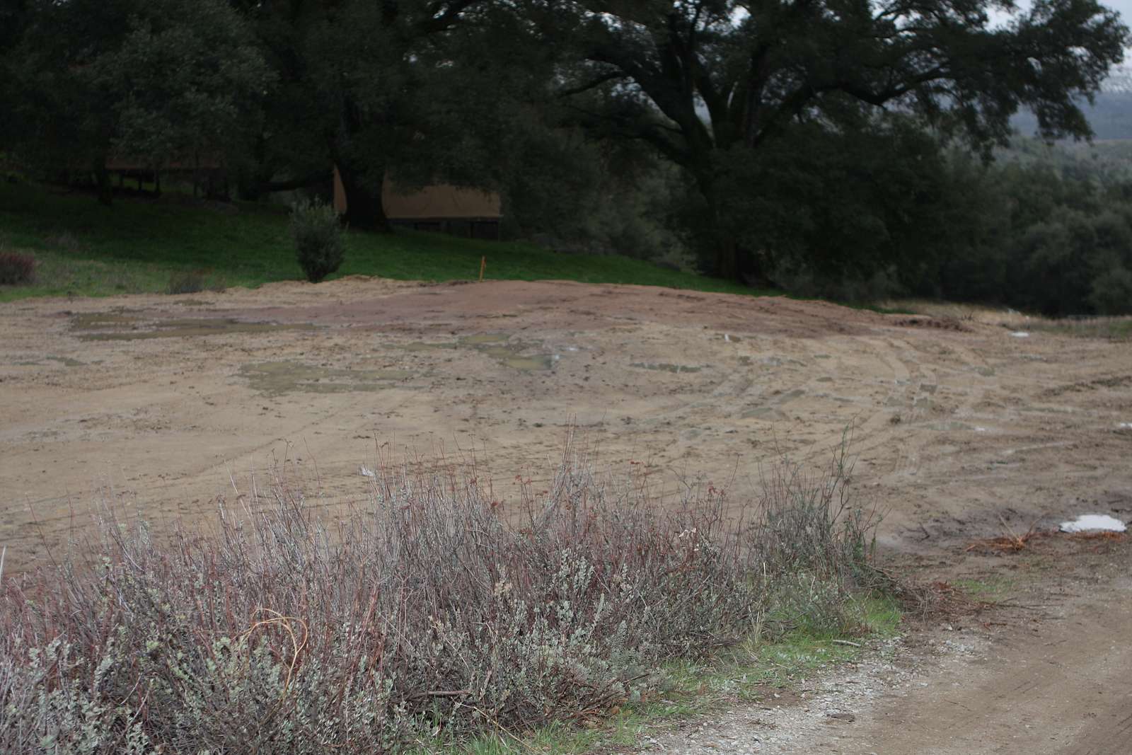 A once brush-filled area is now leveled and cleared - NARA & DVIDS ...