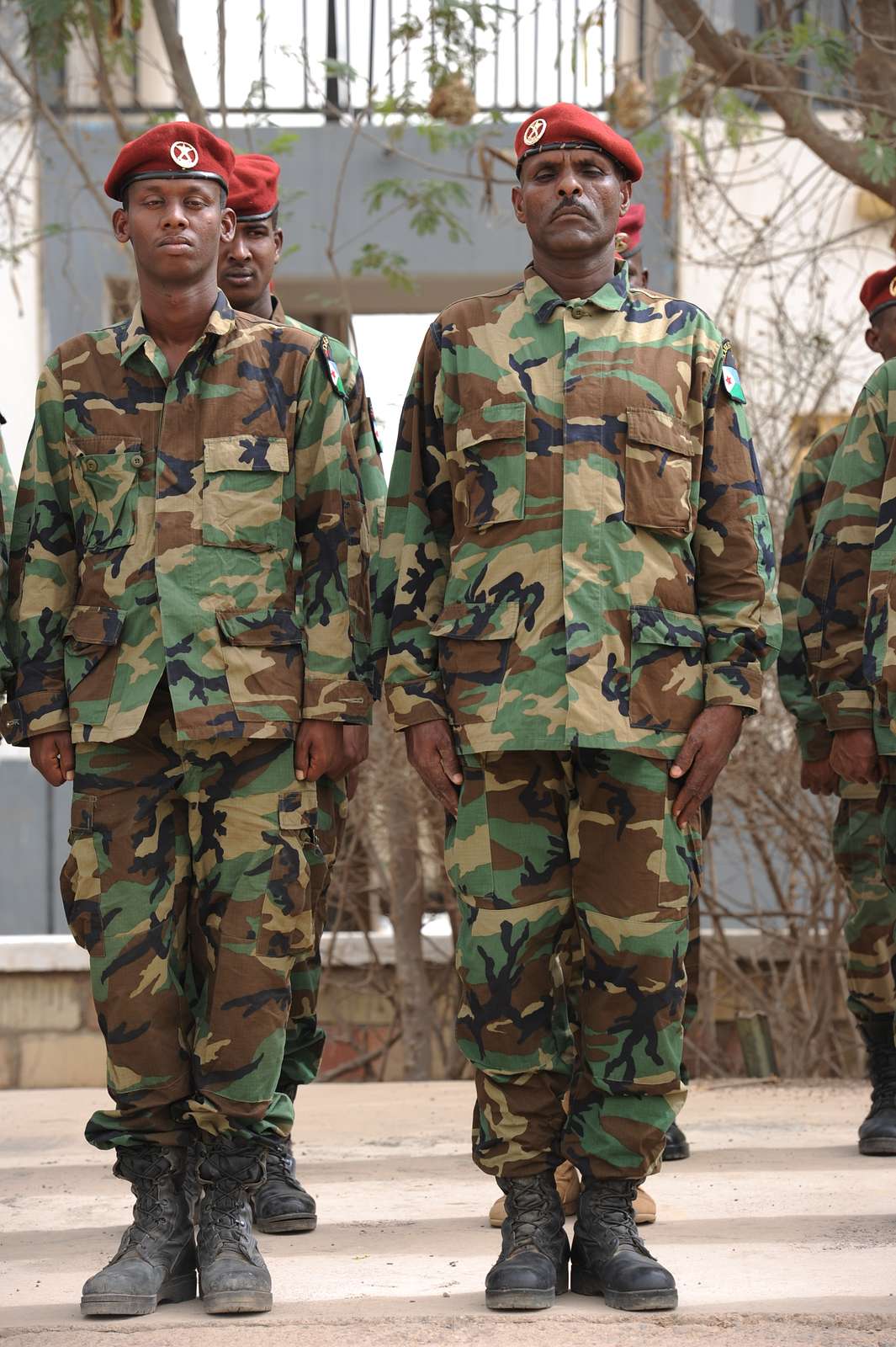 Djiboutian army soldiers stand in formation during - NARA & DVIDS ...