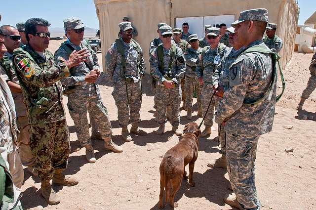 DVIDS - Images - Joint MWD Explosive Detection Training [Image 10 of 20]