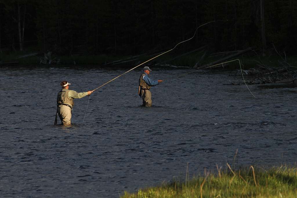 Fishing poles used for sport fishing line the outside - PICRYL