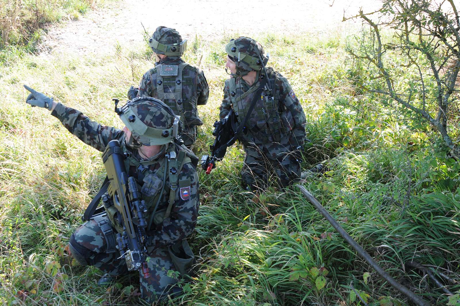 Slovenian Army Soldiers Point Out The Origin Of Indirect - NARA & DVIDS ...