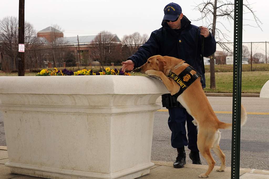 Petty Officer 1st Class John Mitchell, a K9 handler