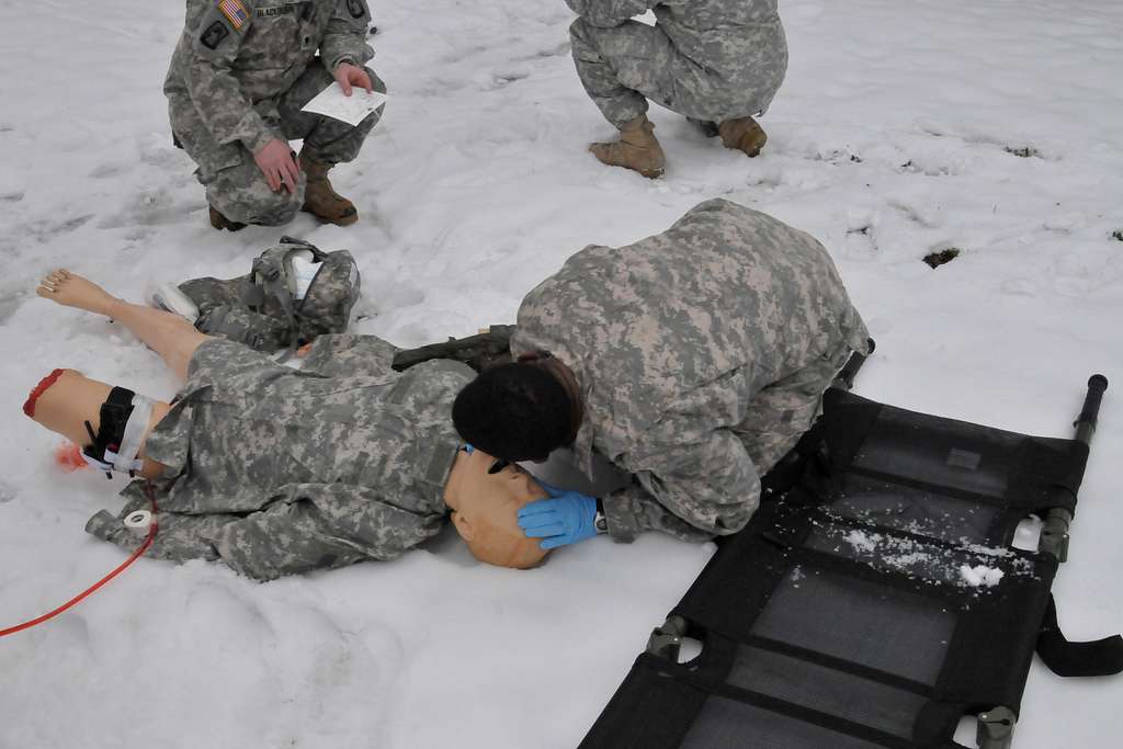 DVIDS - Images - US Soldiers meet Chicago Cubs mascot at Camp