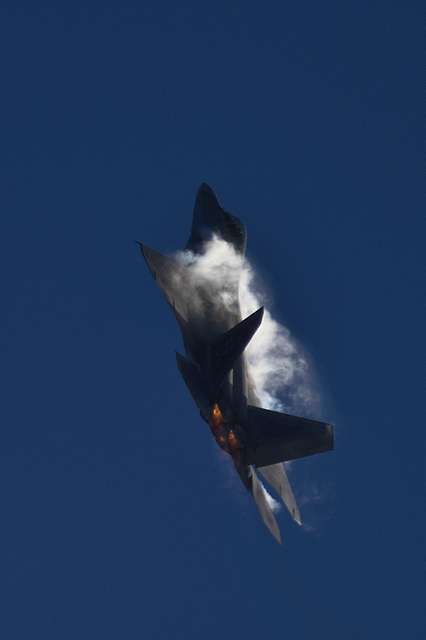 A U.S. Air Force F-22 Raptor from 94th Fighter Squadron - PICRYL Public ...