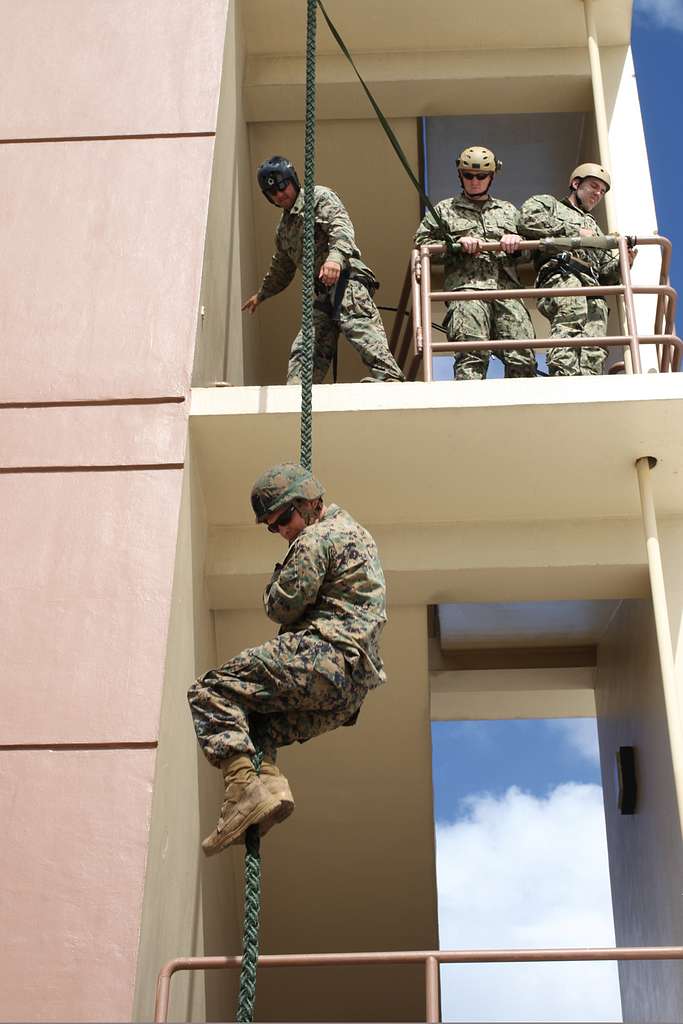 Marines practice fast-rope and rappel training March - PICRYL - Public  Domain Media Search Engine Public Domain Search