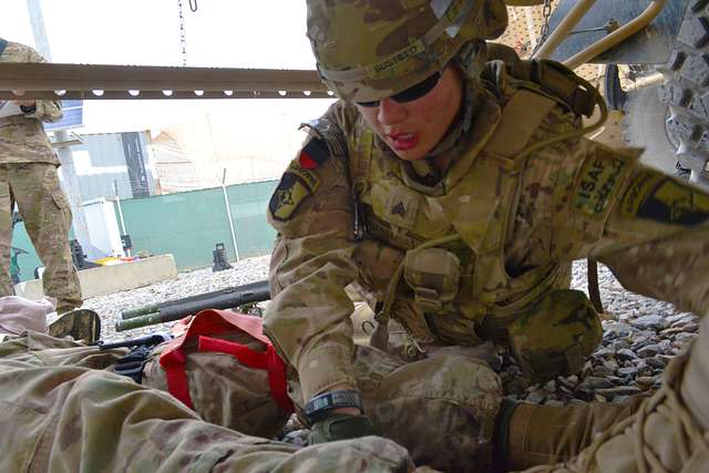 U.S. Army Sgt. Cassandra Bustillo, With The 541st - PICRYL Public ...