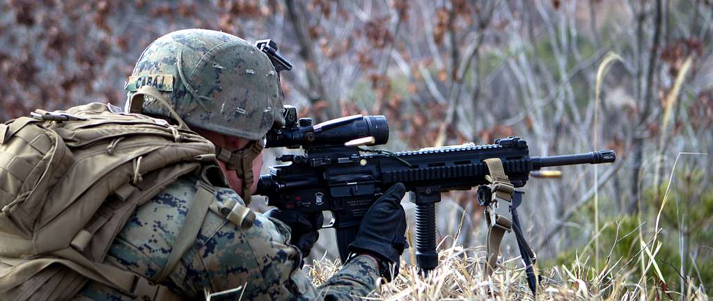 U.S. Marine Corps Cpl. Tony Todd, a rifleman with Alpha - PICRYL - Public  Domain Media Search Engine Public Domain Search