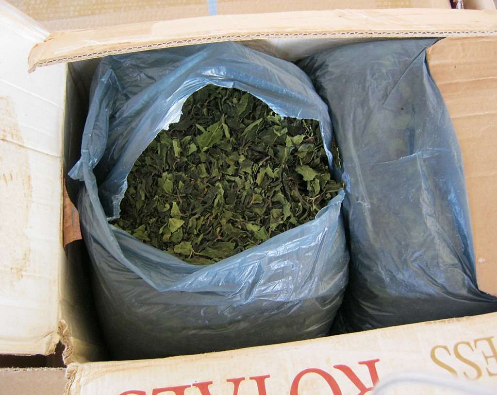 https://cdn2.picryl.com/photo/2013/04/18/cooperation-within-cbp-in-savannah-leads-to-largest-khat-seizure-in-agencys-18b63a-1024.jpg