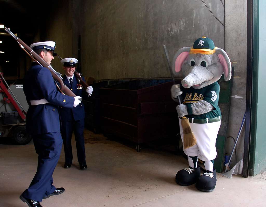 Stomper, the mascot for the Oakland Athletics baseball - PICRYL - Public  Domain Media Search Engine Public Domain Search