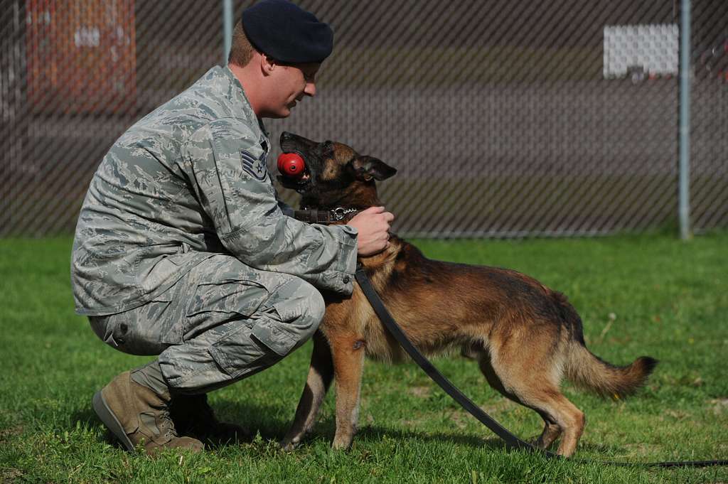 Air Force Staff Sgt. Rob Schneider, assigned to the - PICRYL - Public ...