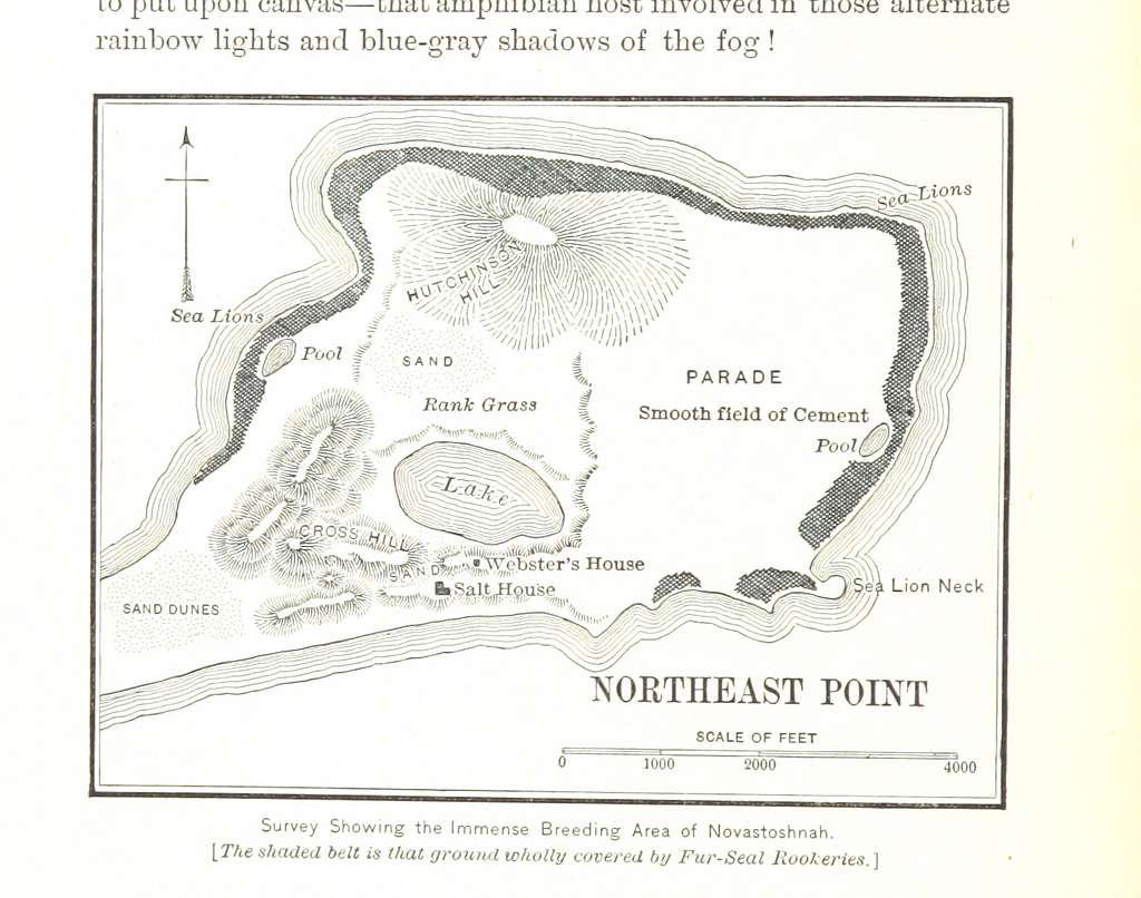 398 of 'Our Arctic Province. Alaska and the Seal Islands ...