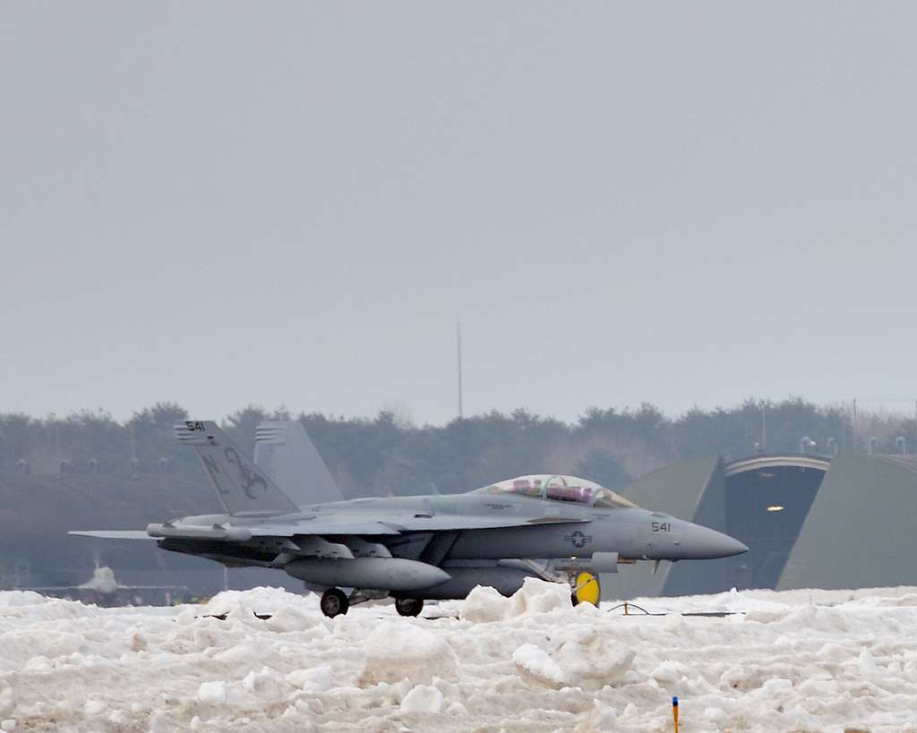 An EA-18G Growler aircraft, belonging to Electronic - NARA & DVIDS