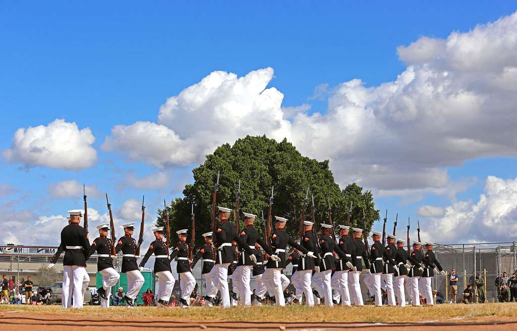 Silent Drill Team performs at Chicago Bears game. - PICRYL - Public Domain  Media Search Engine Public Domain Search