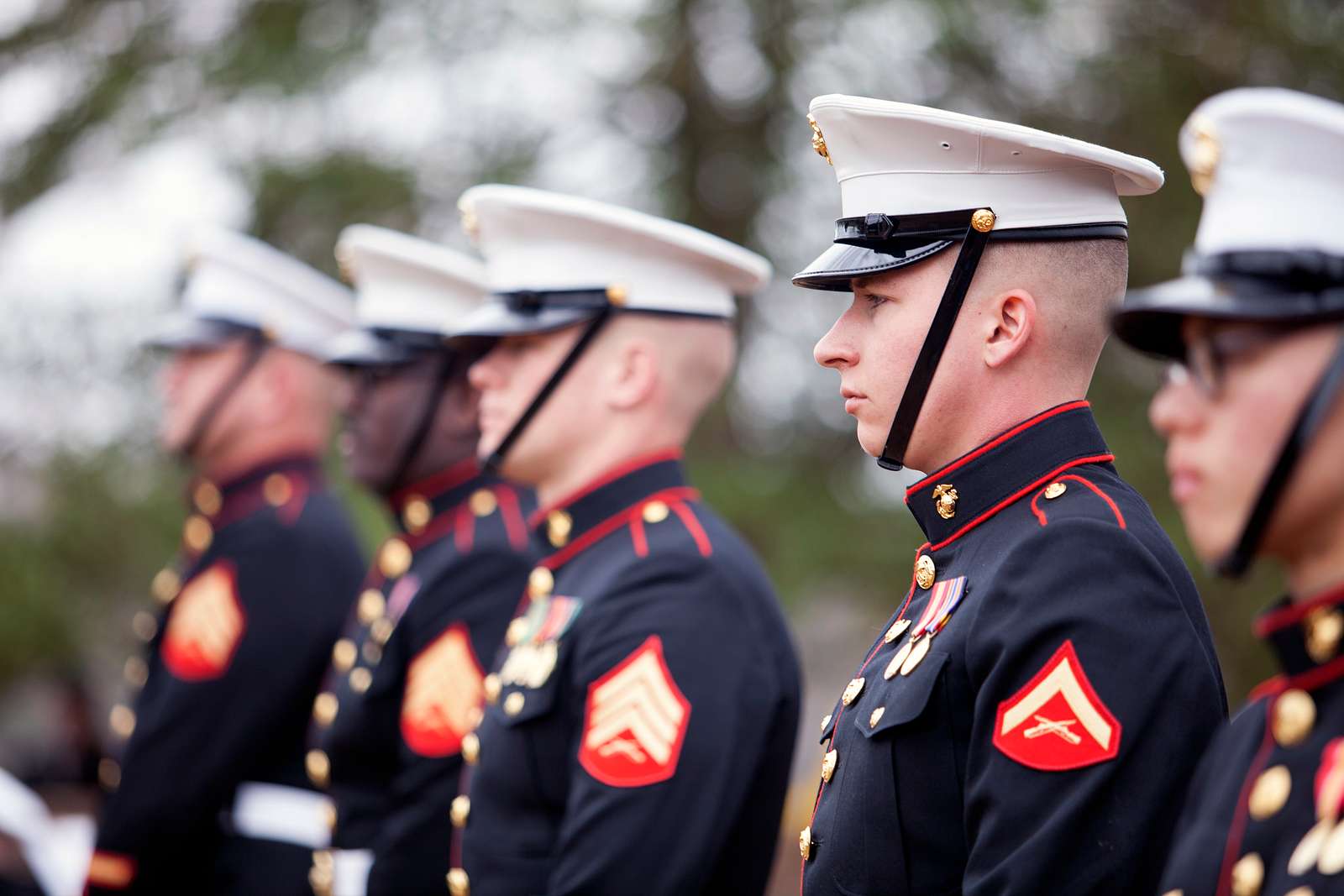 U.s. Marine Corps Rifle Bearers With The Marine Corps - Nara & Dvids 