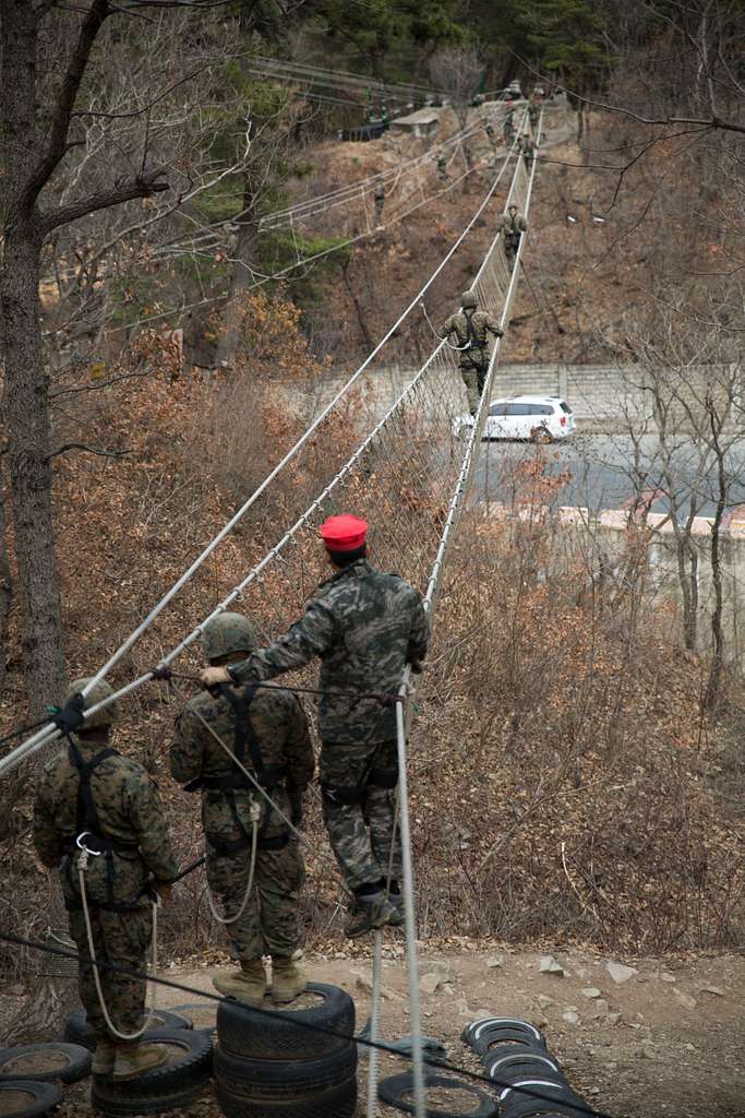 U.S. Marines navigate a rope bridge under the supervision - PICRYL