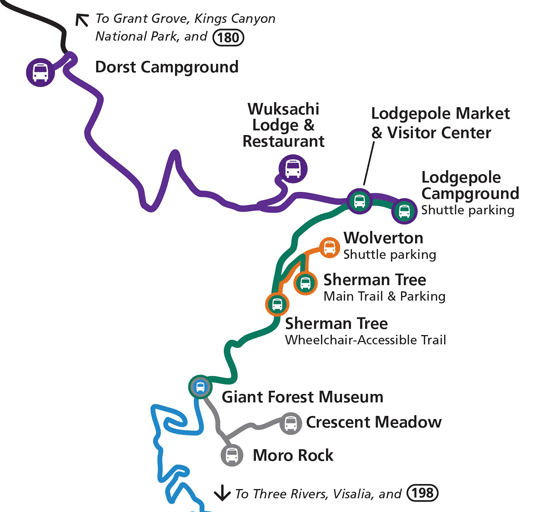 Giant forest 2024 trail map