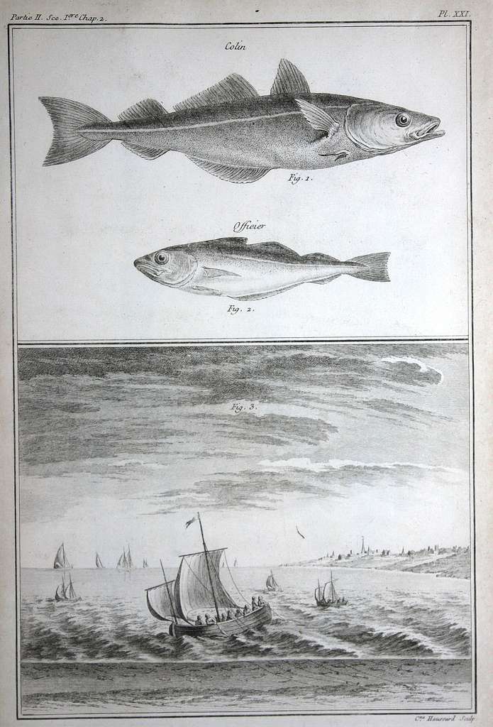 Traité Général Des Pesches Et Histoire Des Poissons Qu'elles