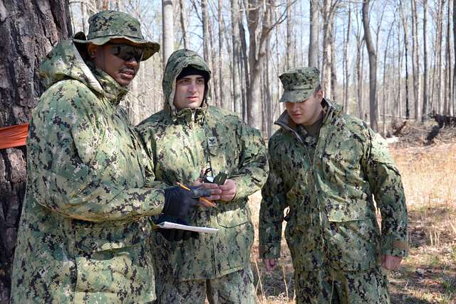 The Dept. of the Navy announced that it will transition from the Navy  Working Uniform (NWU) Type I to the NWU Type III as its primary shore working  uniform. - PICRYL 