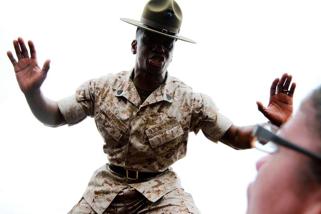 U.S. Marine Sgt. Maj. Carlos A. Reina, current Senior - PICRYL