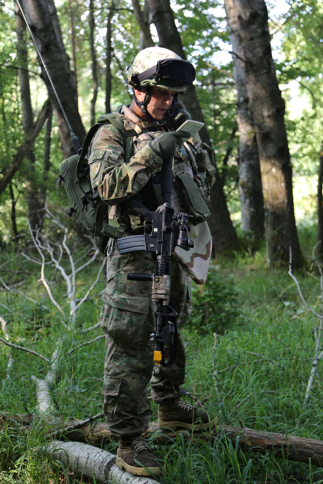 A Georgian soldier of 51st Light Infantry Battalion - NARA & DVIDS ...