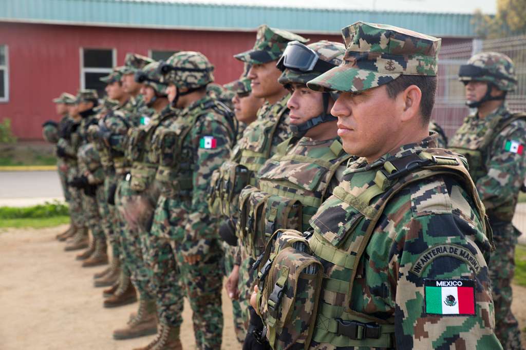 Mexican infantry marines stand in formation awaiting - PICRYL - Public ...