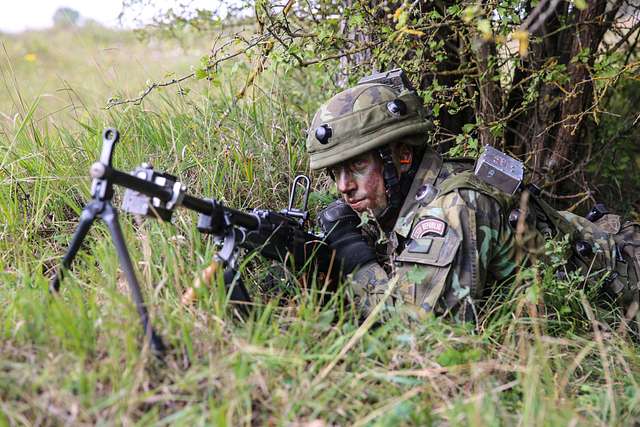 A Czech soldier of 41st Mechanized Battalion, 4th Rapid - NARA & DVIDS ...