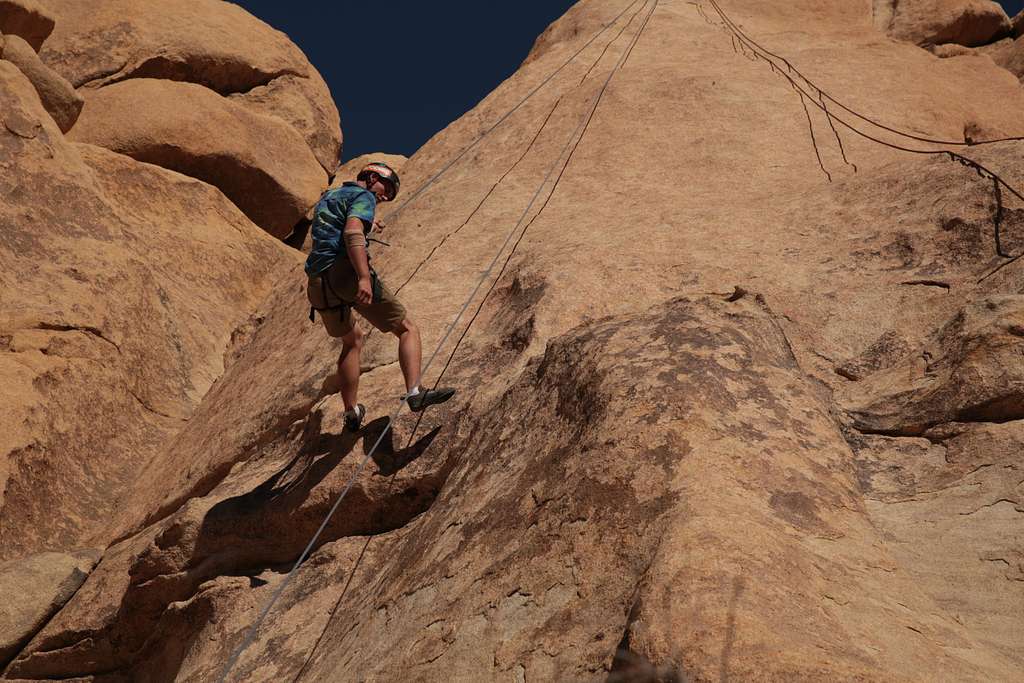 6 Mil tree, Joshua tree national park Images: PICRYL - Public Domain Media  Search Engine Public Domain Search