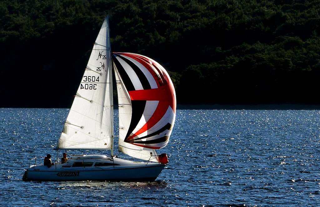 Under the Spinnaker. Bernard Spragg Photo PICRYL Public