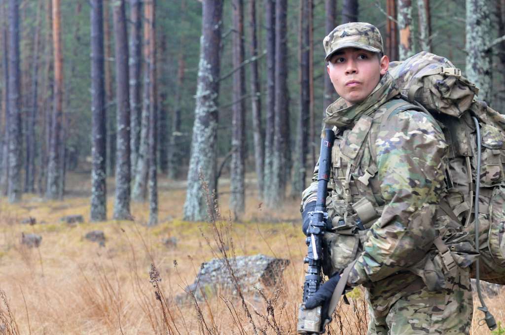 Recon troopers from 3rd Squadron, 2nd Cavalry Regiment - PICRYL Public ...