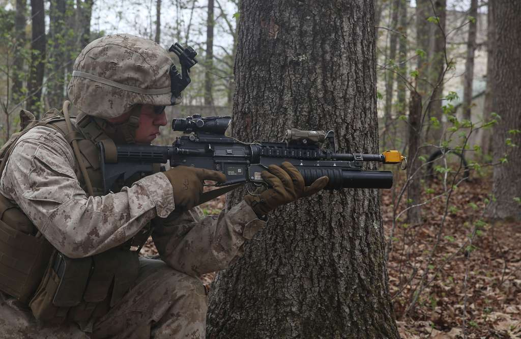 A Marine with Light Armored Reconnaissance, Battalion - PICRYL - Public ...