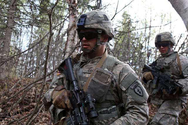 Paratroopers with Dog Company, 3rd Battalion (Airborne) - PICRYL ...