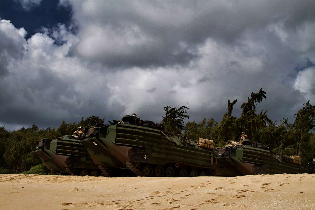 Amphibious assault vehicles, with Battalion Landing - PICRYL Public