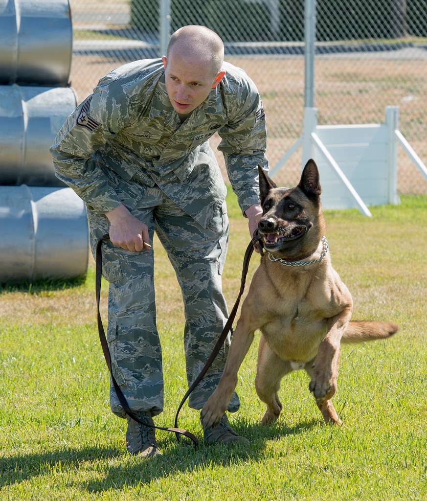 Staff Sergeant Robert Stewart, military working dog - NARA & DVIDS ...