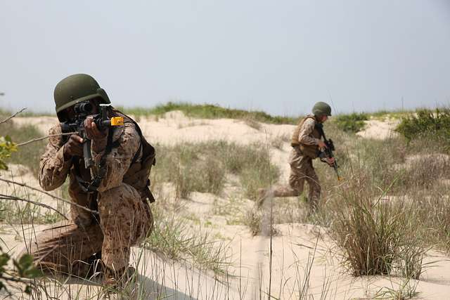 U.S. Marine Corps Cpl. Tony Todd, a rifleman with Alpha - PICRYL - Public  Domain Media Search Engine Public Domain Search