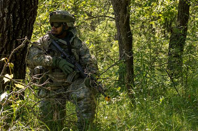 U.S. Army Master Sgt. Antonio Rawls, 46th Chemical - PICRYL - Public ...