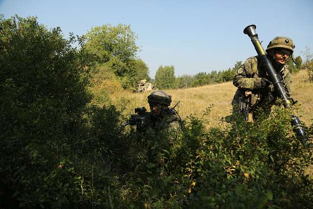 Czech soldiers of 3rd Company, 74th Light Motorized - NARA & DVIDS ...