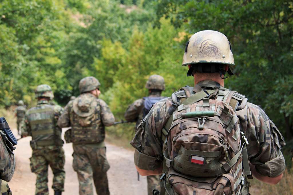 A Polish Army soldier, serving on NATO's Kosovo Force - NARA & DVIDS ...