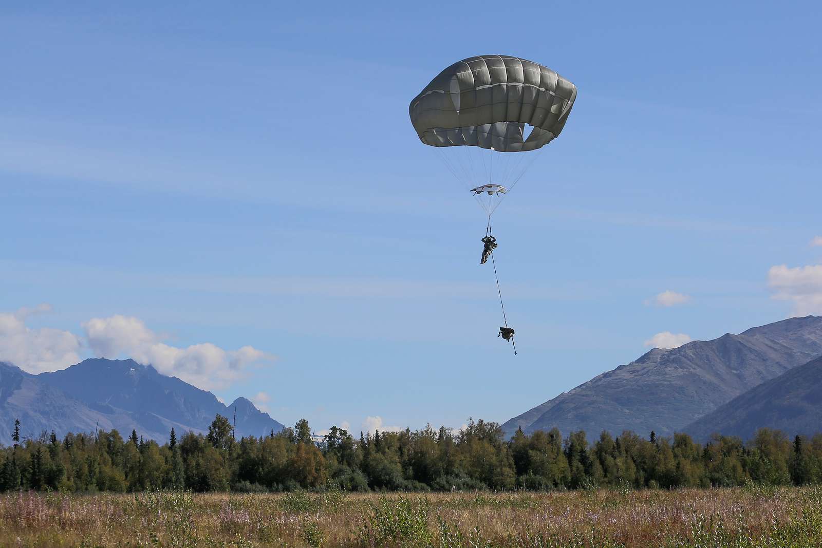 A paratrooper assigned to 1st Battalion (Airborne), - NARA & DVIDS ...