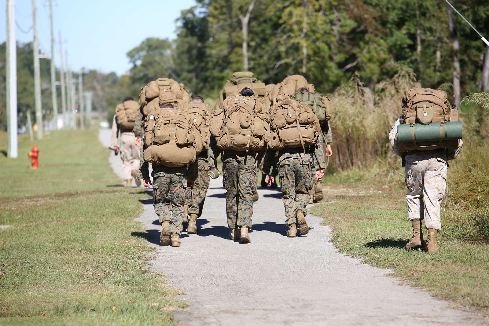 Marine Candidates With The Scout Sniper Screening Platoon, - NARA ...