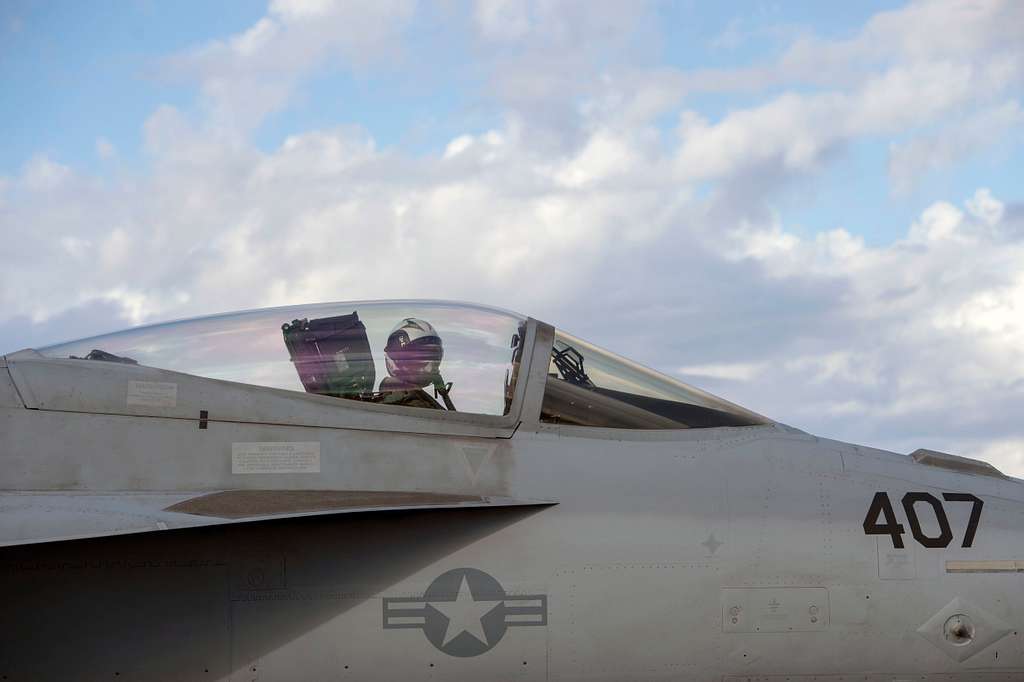 An F-18 Hornet pilot prepares to launch from the USS - PICRYL - Public ...