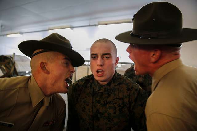 Drill instructors of India Company, 3rd Recruit Training - PICRYL ...