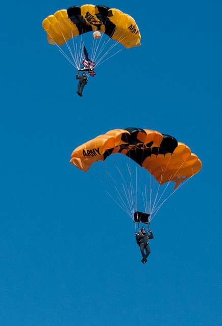 The U.S. Army Parachute Team Golden Knights canopy - PICRYL - Public ...