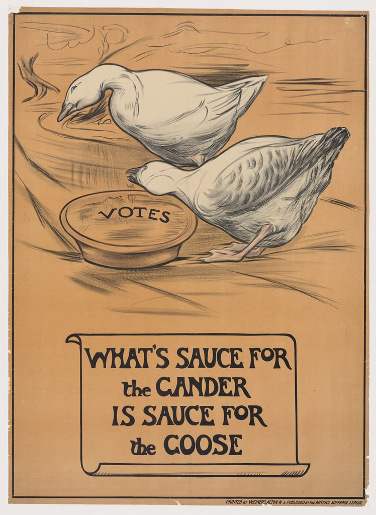 suffragettes posters