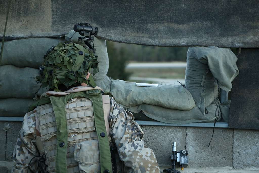 A Lithuanian soldier of 1st Mechanized Infantry Battalion - NARA ...