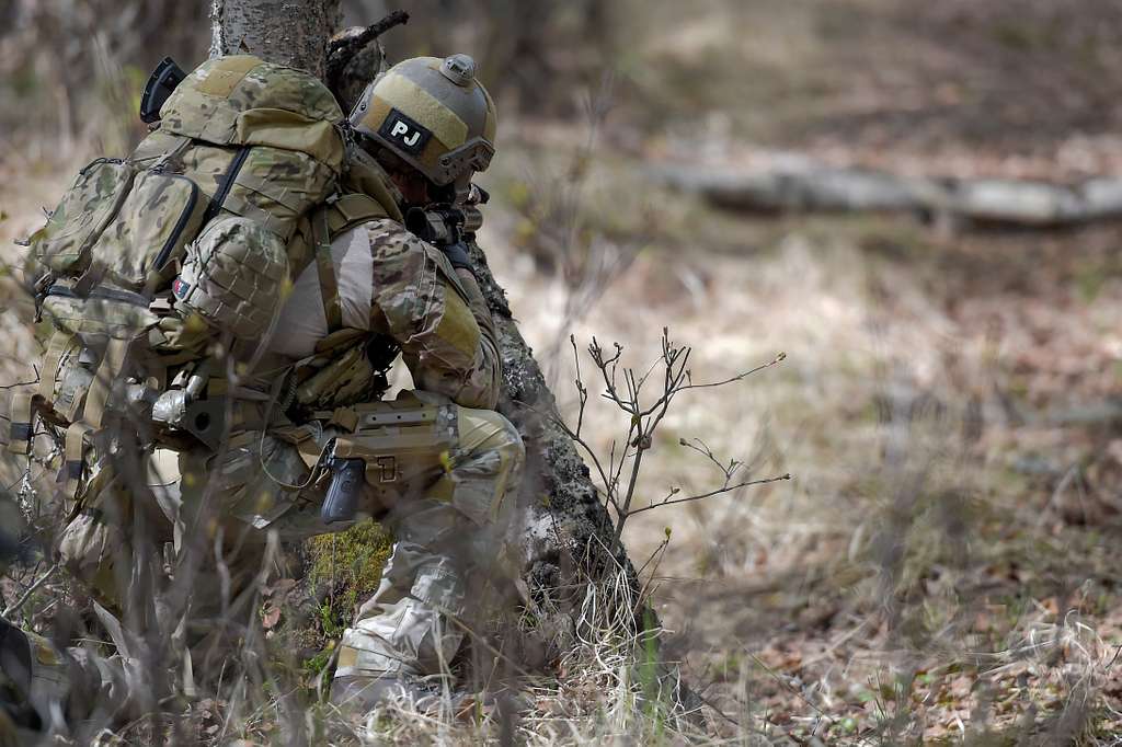 An Alaska Air National Guard combat rescue officer, - NARA & DVIDS ...