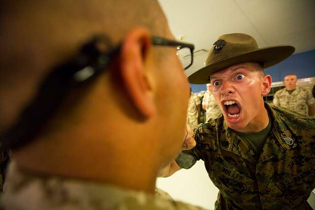 Drill Instructor Staff Sgt. Nathan S. Miller, Platoon - PICRYL - Public ...