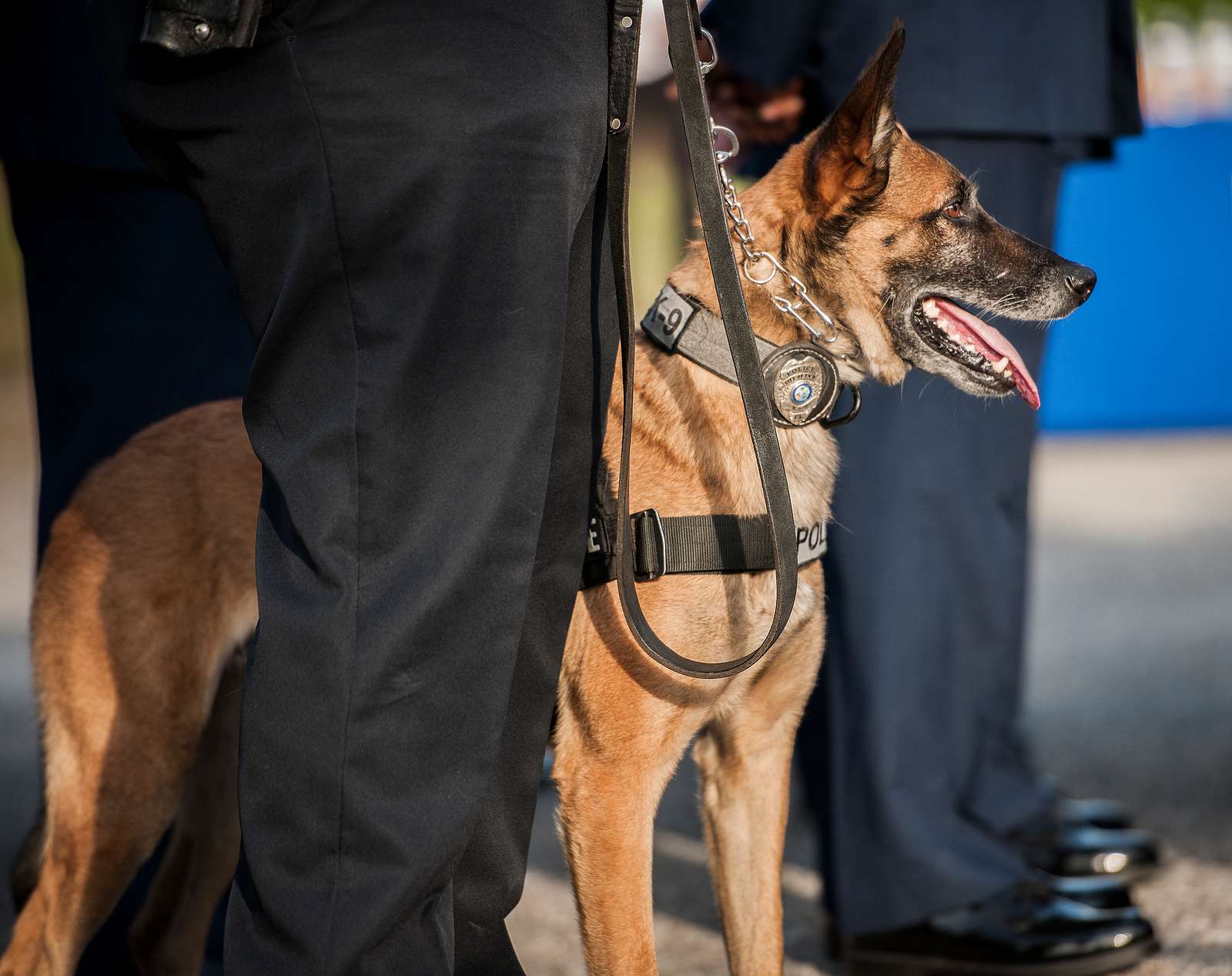 A K-9 and his handler stand by during the Peace Officers’ - NARA ...