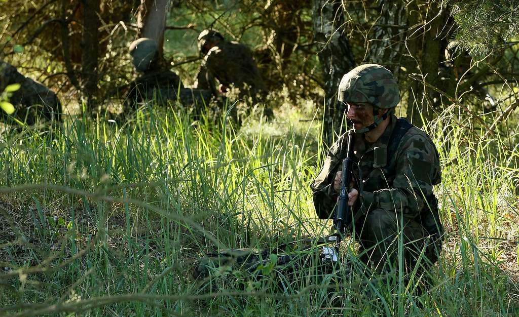 A Polish paratrooper provides security after an airborne - PICRYL ...