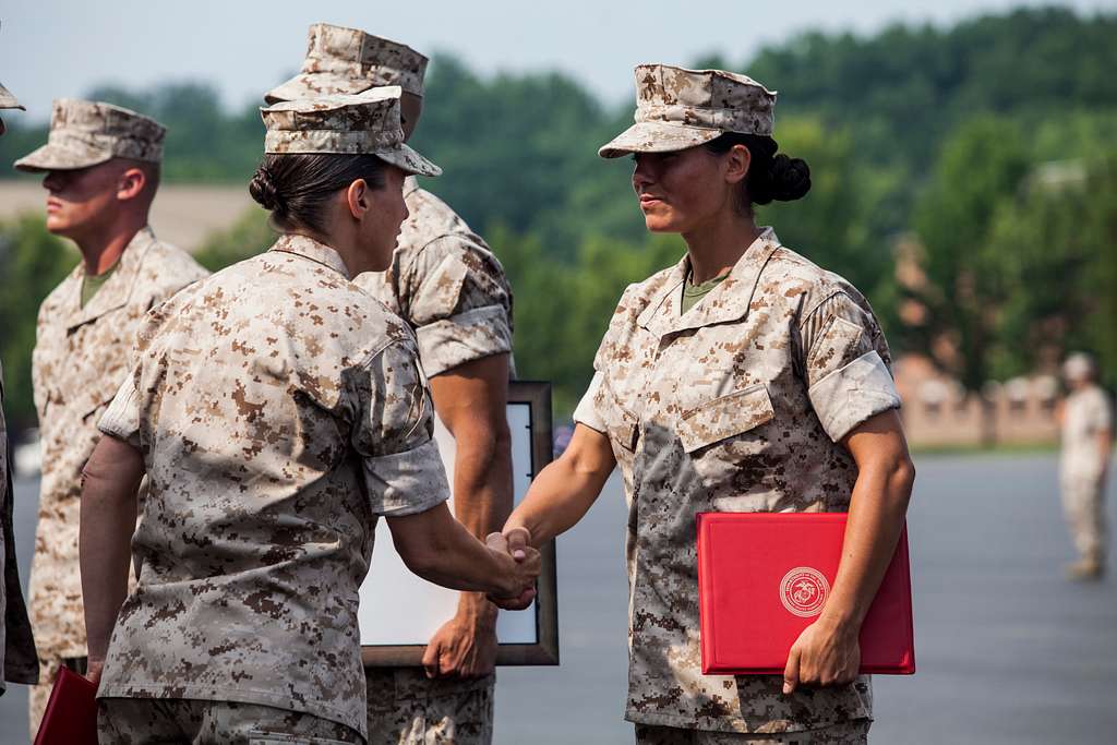 U.S. Marine Corps Col. Julie L. Nethercot commanding PICRYL